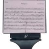 Pupitre lyre de marche Flûte traversière et Piccolo