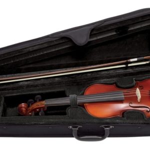 violon Pure Gewa ensemble EW - atelier occazik