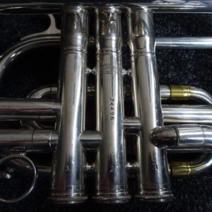 Cornet gaudet argenté - atelier occazik