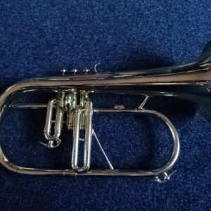 Bugle courtois sib verni - atelier occazik