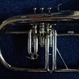 Bugle courtois sib verni - atelier occazik