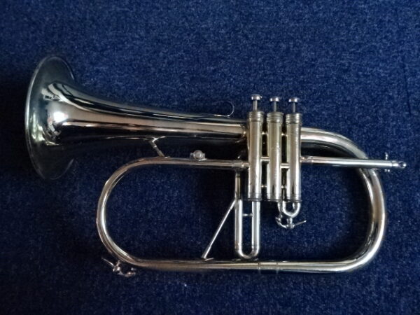 Bugle courtois sib verni - atelier occazik