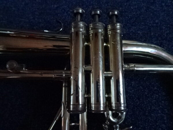 Bugle courtois sib verni - atelier occazik