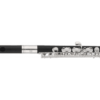 Piccolo Jupiter JPC 305S