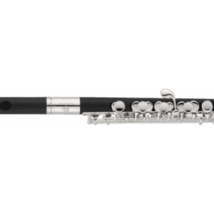 Piccolo Jupiter JPC 305S