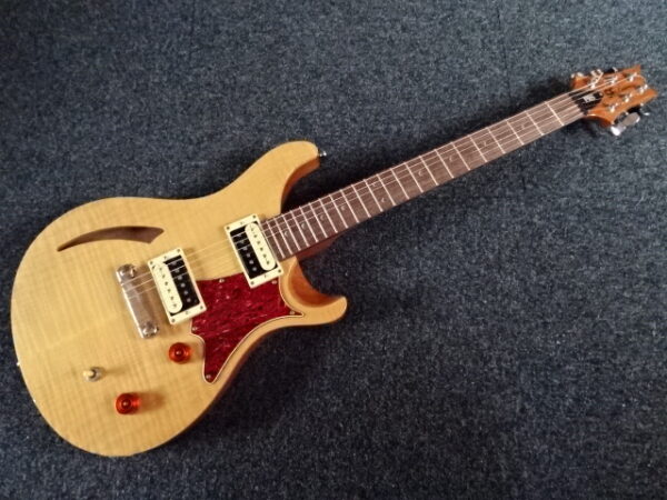 PRS SE custom 22 semi-hollow - atelier occazik