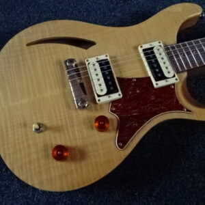 PRS SE custom 22 semi-hollow - atelier occazik