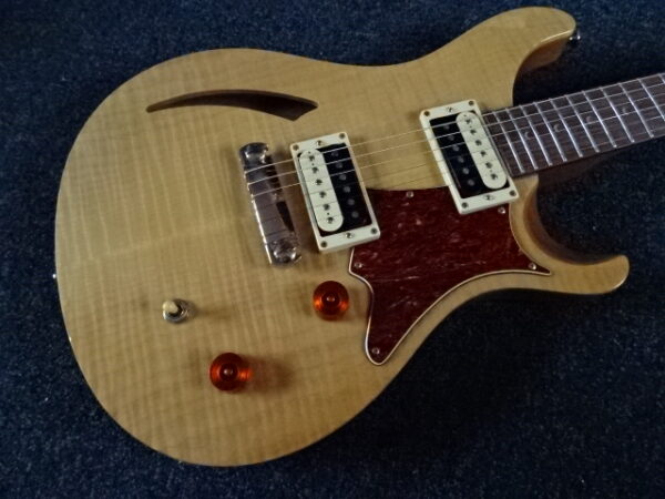 PRS SE custom 22 semi-hollow - atelier occazik