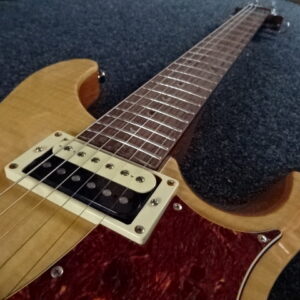 PRS SE custom 22 semi-hollow - atelier occazik