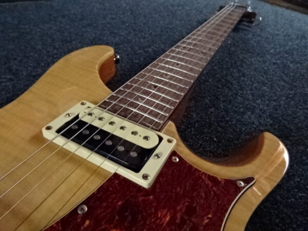 PRS SE custom 22 semi-hollow - atelier occazik