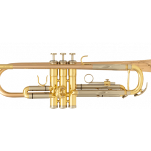 Trompette - SML -TP600 - atelier occazik