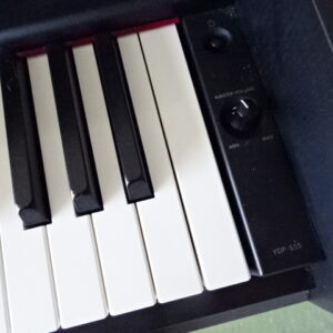Yamaha Arius YPD S55 - atelier occazik