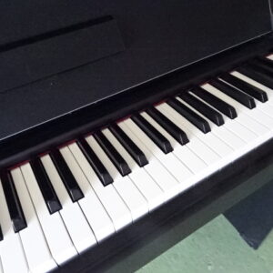 Yamaha Arius YPD S55 - atelier occazik