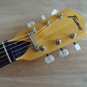 Banjo Framus 6 cordes - atelier occazik