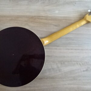Banjo Framus 6 cordes - atelier occazik