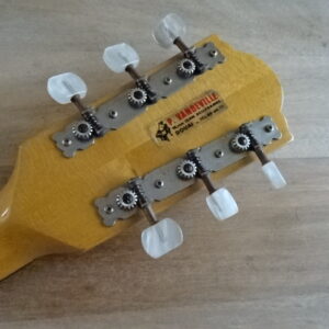 Banjo Framus 6 cordes - atelier occazik